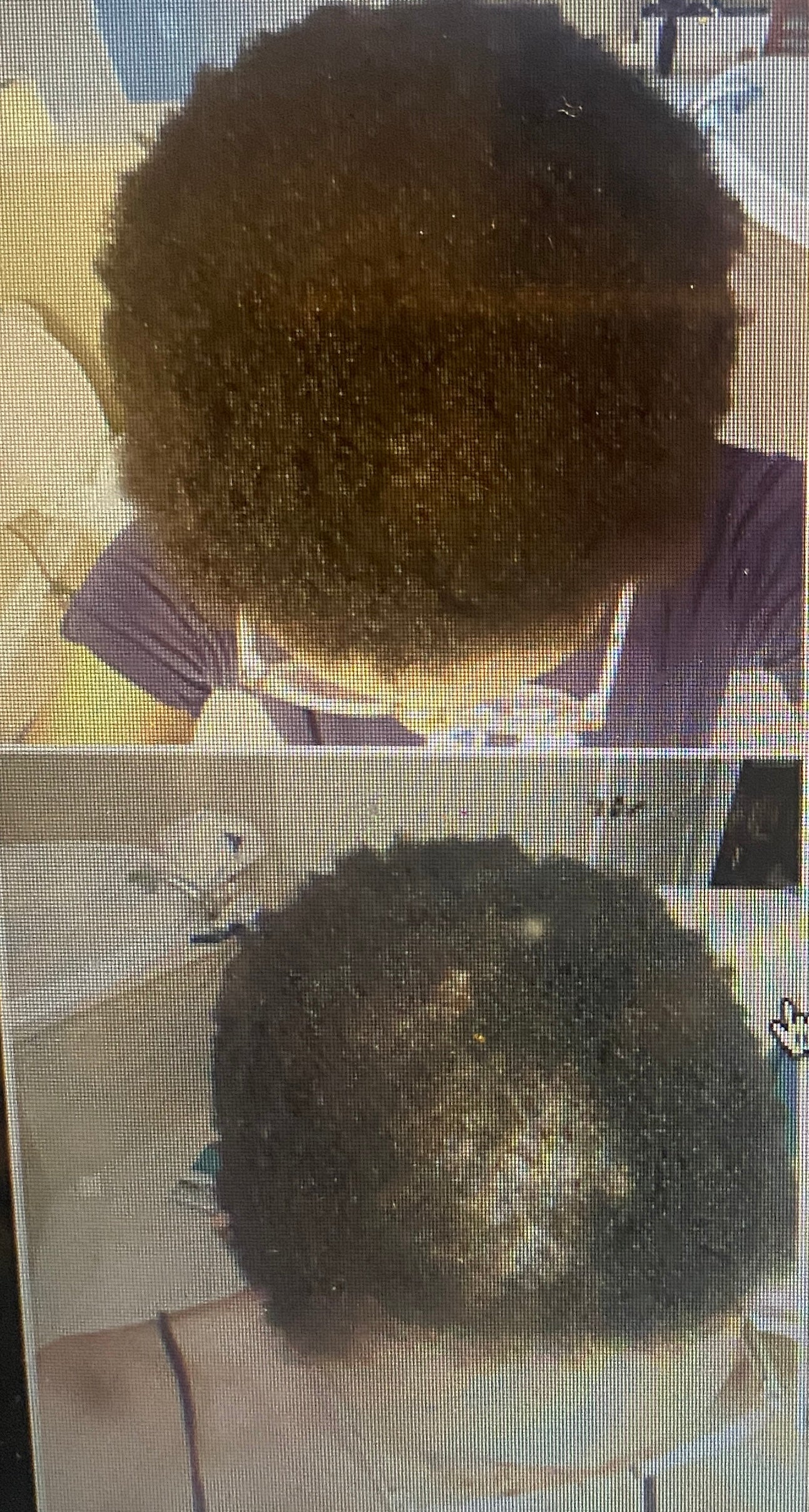 Hair Growth Oil 